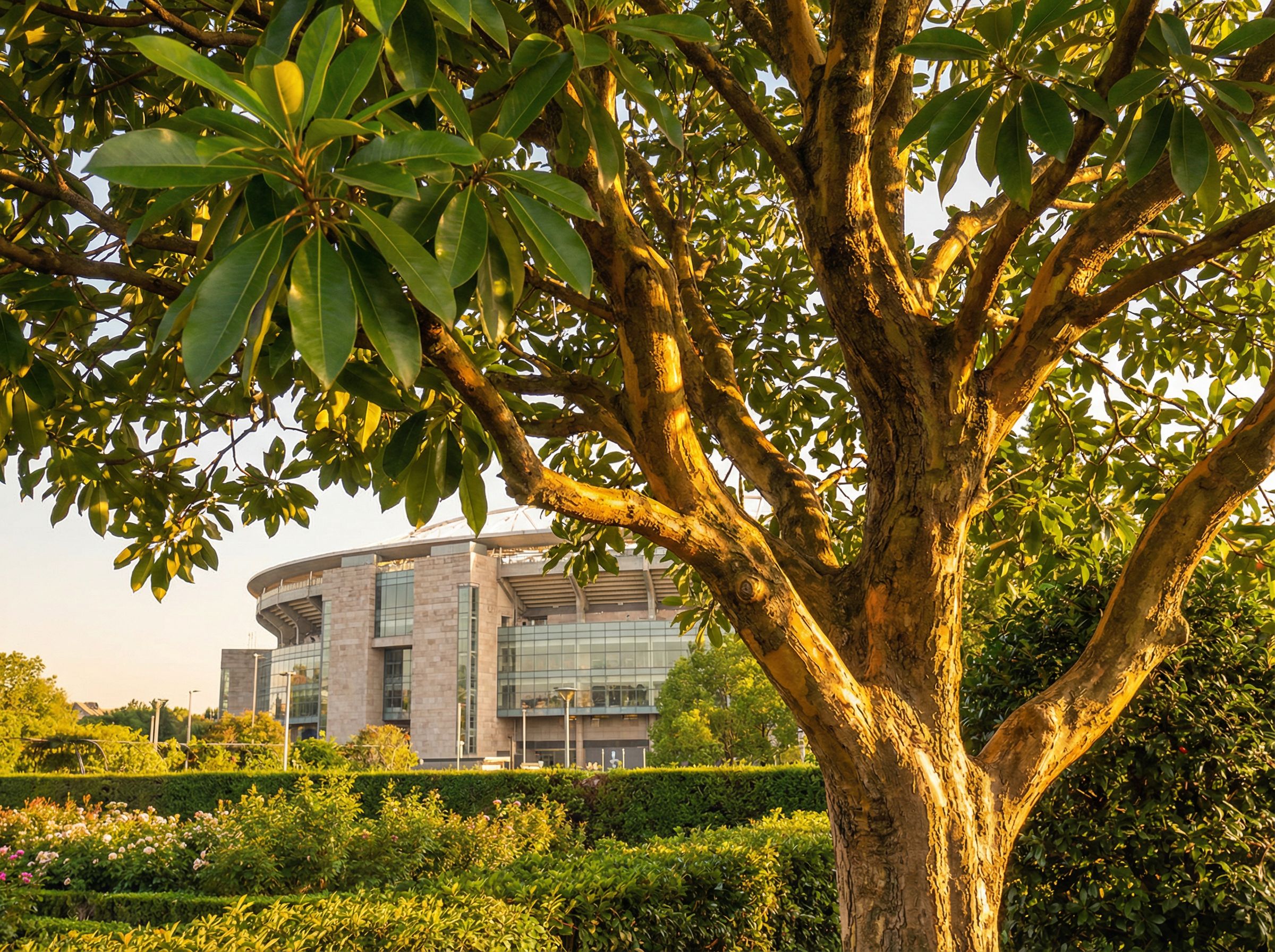 蜜芽盆景制作视频